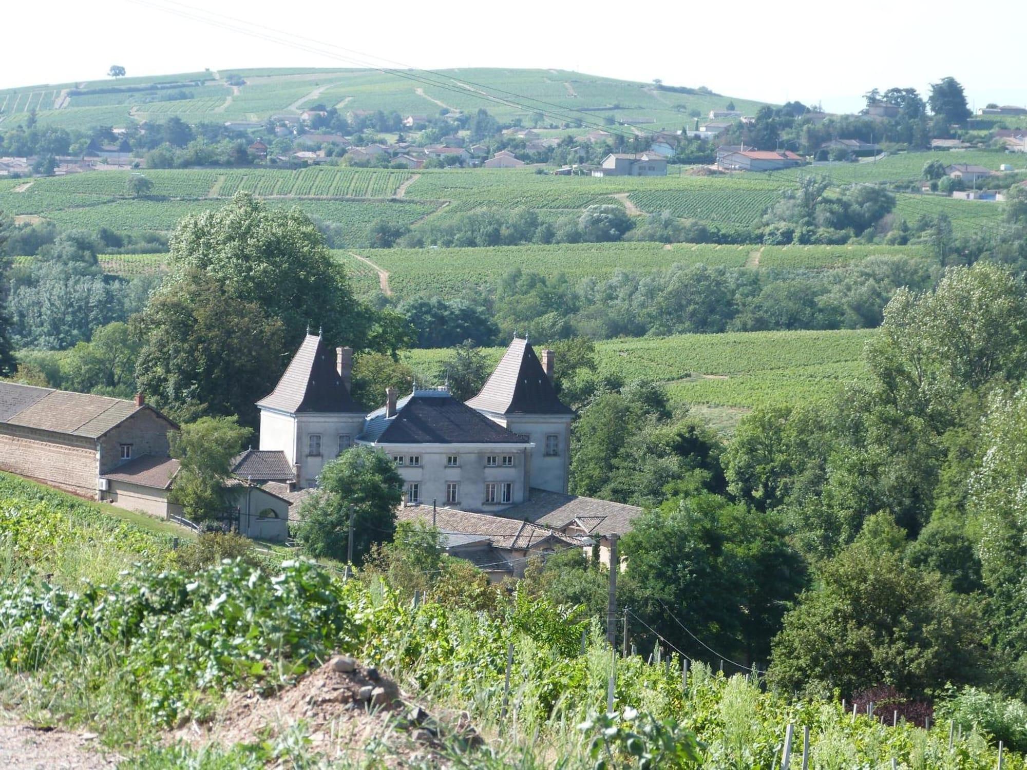 Logis Hotel Des Grands Vins Флёри Экстерьер фото